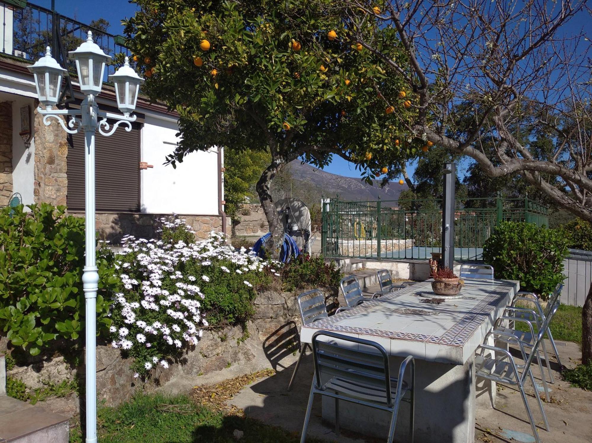 Casa Rural El Mirador De Acebo, 4 Estrellas, Piscina, Spa Eksteriør bilde